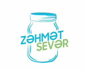 zehmetsever logo png-01